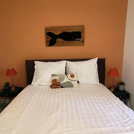Апартаменты Magnifique Loft Deco Sur Le Port Et A 5mn Des Plages Wifi Clim 85 M2 Ла-Сьота